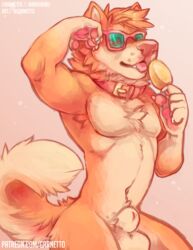 animal_genitalia anthro balls canine collar eyewear food fully_sheathed fur garnetto hi_res male male_only mammal nude pawpads popsicle sheath shiba_inu simple_background solo standing sunglasses tongue