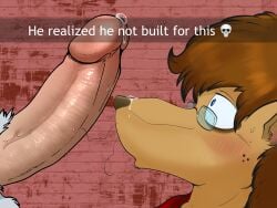 anthro blush bodily_fluids cum cum_on_face emoji english_text erection eyewear genital_fluids genital_focus genitals glasses hi_res illegaleel imminent_oral leaking_precum male male/male mallorie_(illegaleel) nervous nervous_sweat penis penis_awe penis_focus pink_penis precum pubes snapchat snapchat_caption sweat sweaty_genitalia text unknown_species wearing_glasses whiskers wide_eyed