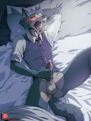 absurd_res anthro balls beastars blush bodily_fluids bottomless canid canine canis clothed clothing cum digital_media_(artwork) erection genital_fluids hi_res humanoid_penis legoshi_(beastars) male male_only mammal masturbation necktie patto penis pillow solo teeth tongue uvula wolf