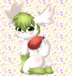 anthro ass blush female fur hi_res legendary_pokemon looking_at_viewer looking_back mammal nintendo nude papilrux pokémon_(species) pokemon pokemon_(species) presenting presenting_hindquarters pussy shaymin shaymin_(sky_form) shy simple_background solo video_games