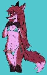anthro balls balls_in_underwear bikini bikini_thong bikini_top blue_background canid canine clothing equidata erection eyewear flat_chested fox fur futanari genitals glasses grin hair hand_on_chest hi_res humanoid_genitalia humanoid_penis intersex long_hair mammal nipple_outline nipple_piercing_outline penis red_body red_fur red_hair simple_background smile solo swimwear trans_(lore) trans_woman_(lore) two-piece_swimsuit wearing_glasses