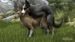 2019 3d all_fours animated black_nose canine detailed_background dog doggy_style duo female feral feral_on_feral forest from_behind_position fur hi_res male male_penetrating mammal mounting mp4 no_sound open_mouth penetration sex source_filmmaker straight tree vaginal vaginal_penetration video wolfland