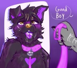 ambiguous_gender andromorph andromorph/ambiguous anthro bird_dog bodily_fluids bondage canid canine canis collar collar_tag cum cum_in_mouth cum_inside cum_on_face cumshot domestic_dog ejaculation fellatio genital_fluids german_shepherd good_boy herding_dog hi_res hunting_dog intersex intersex/ambiguous labrador lavenderpupp leash leashed_collar male male/ambiguous mammal oral pastoral_dog penile pet_praise petplay praise puppyplay retriever roleplay sex solo
