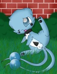 2011 2_tails 3_fingers 3_toes anus balls black_collar black_pawpads black_penis blue_body blue_eyes blue_fur blue_tail bodily_fluids brick brick_wall collar collar_only digital_media_(artwork) dragonair dragonchu_(character) erection fairyfloss fan_character feet fingers front_view fur generation_1_pokemon genital_fluids genitals grass hybrid legendary_pokemon looking_at_viewer lying male mew_(pokemon) multi_tail multicolored_body multicolored_fur nintendo nude nude_male on_grass on_side one_eye_closed open_mouth outside pawpads penis pikachu plant pokemon pokemon_(species) precum shrub solo spread_legs spreading tail tapering_penis toes tongue two_tone_body two_tone_fur wall_(structure) white_balls white_body white_fur