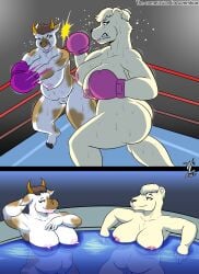 anthro areola ass bear big_breasts big_butt biped bodily_fluids bovid bovine boxing breasts cattle denlusty duo female fighting_ring genitals hi_res mammal nipples nude polar_bear pussy simple_background sport sweat thick_thighs three-quarter_view ursine vulva