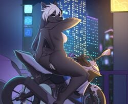 anthro anus ass black_body black_fur black_hair blue_eyes breasts building canid canine city female fox fur genitals giesenn hair long_hair looking_at_viewer looking_back looking_back_at_viewer mammal motorcycle night nipples on_motorcycle pussy rear_view sitting skyscraper smile solo tail tail_aside vehicle white_hair