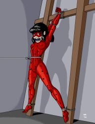 ladybug (character) from miraculous ladybug by artist request