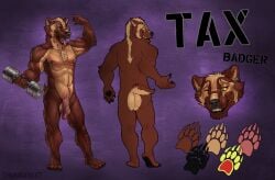 anthro artist_name ass badger balls black_nose brown_body brown_fur chumbasket ear_piercing exercise facial_piercing fangs flaccid foreskin front_view fur gauged_ear genitals hi_res humanoid_genitalia humanoid_penis looking_at_viewer looking_back looking_back_at_viewer male male_anthro mammal model_sheet multiple_piercings muscular muscular_anthro muscular_male mustelid musteline nipple_piercing nipple_ring nipples nose_piercing nose_ring nude open_mouth penis piercing rear_view red_eyes red_penis retracted_foreskin ring_piercing septum_piercing septum_ring simple_background solo standing tan_balls tan_body tan_fur teeth text tongue tongue_out weightlifting workout yellow_sclera