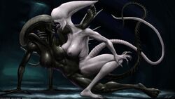 5_toes 6_fingers abs alien alien_(franchise) big_breasts black_skin breast_squish breasts breasts_frottage claws duo eyeless feet female female_xenomorph fingers frottage grabbing hi_res humanoid humanoid_feet humanoid_hands kissing lips monster monster_girl monster_girl_(genre) muscular navel neomorph nihilophant nipples nude pussy sex sharp_teeth teeth toe_claws toes tongue tribadism xenomorph yuri