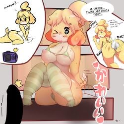 animal_crossing anthro bikini blush breasts canine clothing dialogue disembodied_penis duo english_text erection female humanoid_penis isabelle_(animal_crossing) legwear looking_at_penis male mammal nintendo nipples penis pussy sitting solo_focus source_request swimsuit tanuk_kun text thick_thighs thigh_highs video_games year_request