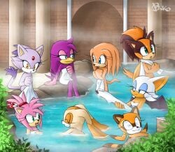 biko97 sega sonic_adventure sonic_boom sonic_riders sonic_the_hedgehog_(series) amy_rose blaze_the_cat cream_the_rabbit marine_the_raccoon rouge_the_bat sticks_the_jungle_badger tikal_the_echidna wave_the_swallow avian badger bat bird domestic_cat echidna eulipotyphlan felid feline felis hedgehog hirundinid lagomorph leporid mammal monotreme mustelid musteline oscine passerine procyonid rabbit raccoon swallow_(bird) 2018 :3 amber_eyes anthro back_wings bathing bathing_together beak blue_eyes breasts building covering covering_breasts eyes_closed feathers female fur green_eyes group group_bathing hair holding_own_leg hot_spring multicolored_hair nude open_mouth open_smile orange_body orange_fur outside partially_submerged pink_body pink_fur plant purple_body purple_feathers purple_fur sitting smile steam tail tan_body tan_fur towel towel_only two_tone_hair water wet white_body white_fur wings 6+girls 8girls