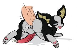 iggy (jjba) from jojo's bizarre adventure by sssonic2