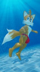 1boy 3d 3d_(artwork) bubbles bulge fox kuby64 male miles_prower sega solo sonic_(series) sonic_the_hedgehog_(series) speedo tails_the_fox underwater