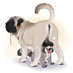 1:1 anatomically_correct anus ball_sniffing balls balls_on_face balls_on_nose black_anus black_balls bodily_fluids breath brown_body brown_fur canid canine canis coontail coontail_v2 domestic_dog drool_on_face duo fangs feral fernsigillum fur genitals hi_res looking_at_another male male/male mammal mastiff molosser musk musk_cloud onomatopoeia oof raised_tail rear_view saggy_balls saliva saliva_string sniffing sound_effects tail tan_body tan_fur teeth text these_aren't_my_glasses tongue tongue_out white_body white_fur