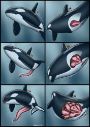 2025 animal_genitalia animal_penis animal_vulva anus aquatic becoming_erect big_penis black_body blue_eyes cetacean cetacean_genitalia cetacean_penis cetacean_vulva comic dart dated dolorcin dolphin duo erection female female_feral feral genitals growth hi_res huge_penis hyper hyper_genitalia hyper_penis internal male male_feral mammal mammary_slits multi_uterus mutation oceanic_dolphin orca penis penis_expansion tapering_penis toothed_whale underwater uterus vulva water white_body year