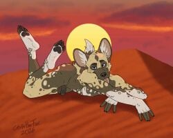 absurd_res african_wild_dog anthro balls barefoot bartek22 big_ears blue_eyes butt canid canine cloud ears_up eyebrows feet foot_fetish foot_focus genitals hi_res looking_at_viewer lying lying_on_ground lying_on_sand male mammal nude on_front on_ground penis sand sky skyscape solo sun tail tongue tongue_out