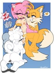 amy_rose lanolin_the_sheep senshion sonic_(series) tails_the_fox