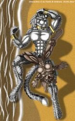 abs anthro athletic beach bodybuilding breasts cheetah cock dong faelis feline ginkaze gold muscle muscles muscular pecs penis sex silver yiff