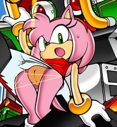 amy_rose bracelets captured color exposed_pussy eyelashes female grabbing green_eyes hotred innie_pussy is_(artist) laser no_panties on_model pink_fur pink_tail pussy red_skirt revealing robot sega servedasis skirt skirt_pull sonic_(series) sonic_adventure style_parody upskirt x-ray zero_(sonic)