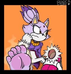 blaze the cat from sega by blarf022