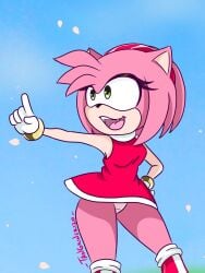 amy_rose pink_body sonic_(series) sonic_the_hedgehog_(series) upskirt white_panties