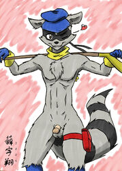 2006 furry male male_only sly_cooper sly_cooper_(series) smooth_fur zenmigawa