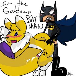 batman batman_(series) crossover dc_comics digimon furry gay male male_only renamon ycr