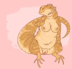 anthro areola bearded_dragon belly breasts brown_scales chubby clitoris closed_eyes female lizard navel nipples nude obese overweight pink_background plain_background pussy qorm reptile scalie sitting smile solo spread_legs spreading tan_scales