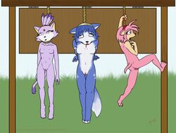 amy_rose anthro asphyxiation barefoot beige_skin bindi black_nose blaze_the_cat bleeding blood blood_stain blue_fur blue_hair breasts canine cat claw_mark claws color crossover day death feline female female_only fox fur furry furry_breasts furry_ears furry_tail green_eyes hair hanged hedgehog interspecies krystal mammal multiple_girls nude open_eyes open_mouth outdoors pink_fur pink_hair pointy_ears princess purple_fur purple_hair pussy rope snuff sonic_(series) star_fox straight_hair tail video_game white_fur yellow_eyes