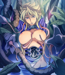 breath_of_fire breath_of_fire_ii clothing large_breasts nina_(breath_of_fire_ii) tagme