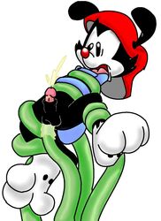 anal animaniacs cum male_only moonbeamcat tentacle wakko_warner