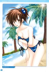 beach brown_hair female girls_bravo kirie_kojima kojima_kirie official_art solo tagme