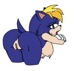 bernadette hedgehog from sonic (series) by leatherruffian