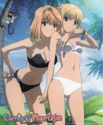 arcueid brunestud from carnival phantasm