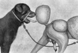 2019 ambiguous_gender anatomically_correct anatomically_correct_penis animal_genitalia animal_penis anus balls canine canine canine_penis darkmare duo ear_piercing erection facial_piercing feral floppy_ears frenum_ladder frenum_piercing furgonomics furry-specific_piercing genital_piercing grey_background greyscale guiche_piercing knot leash male mammal monochrome muzzle_piercing nose_piercing open_mouth pencil_(artwork) penis penis_piercing piercing poodle quadruped rottweiler scrotum_piercing simple_background tongue tongue_out tongue_piercing traditional_media_(artwork)