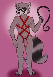 bondage claws dante_(raccoon) domination furry harness horny_(disambiguation) ickypossum_(artist) lust male male_only mammal master nipples nude paws penis procyonid raccoon simple_background smile smirk solo whip