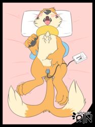 2019 bed buizel female furry lying nintendo pokémon_(species) pokemon sex_toy solo vibrator video_games wet wicketrin