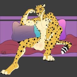 2018 absurd_res animal_genitalia anthro balls bambii_dog big_balls cheetah feline hi_res jasiri looking_at_viewer male male_only mammal nipples nude pillow sheath solo