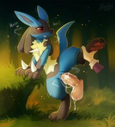lucario from nintendo by hioshiru