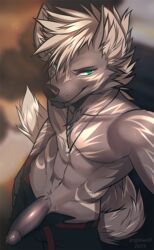 angiewolf anthro clothed clothing erection furry humanoid_penis hyaenid jewelry looking_at_viewer male male_only mammal necklace penis selfie smile solo topless