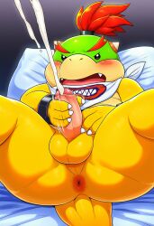 bowser jr. fan art