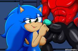 anthro blue_body chaosknight_1 duo eulipotyphlan female genderswap green_eyes hedgehog humanoid male mammal red_body rule_63 seductive seductive_eyes seductive_smile sega sonic_(series) sonic_the_hedgehog sonic_the_hedgehog_(series) sonique_the_hedgehog straight the_deadly_six video_games zavok zeti