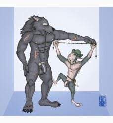 2025 abs absurd_res anthro balls blaidd_(elden_ring) boc_the_seamster canid canine canis cape claws clothing colored digital_media_(artwork) duo elden_ring fangs flaccid fromsoftware fur garo_(artist) genitals grey_body grey_fur hat headgear headwear hi_res humanoid_genitalia humanoid_penis letterbox looking_at_another male male/male mammal mane measurements muscular navel nipples nude pecs penis pubes rope scar shaded simple_background size_difference standing tail teeth wolf