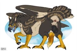 anus avian backsack balls beak bodily_fluids claws erection feathered_wings feathers feral genital_fluids genitals gryphon hi_res knot lddraws male mythological_avian mythological_creature mythology non-human open_mouth penis precum quadruped scutes solo tail tail_feathers wings