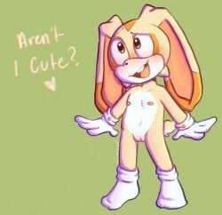 anthro cream_the_rabbit cub female freckledcoat furry sonic_(series) sonic_the_hedgehog_(series) text young young_anthro young_female