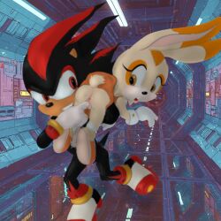 cream the rabbit from sonic (series)