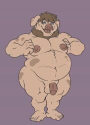 animated anthro archie_bacon balls belly digital_media_(artwork) domestic_pig feet fur genitals hair humanoid_feet humanoid_genitalia humanoid_penis looking_at_viewer male male_only mammal nipples nude overweight penis pig plantigrade simple_background solo solo_focus suid suine sus_(pig)