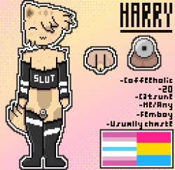 .3 1boy 1femboy 1furry :3 alternate_version_available androgynous animal_genitalia blush bra cat_boy cat_ears catboy catsune chastity_cage chastity_device close-up close_up closed_eyes english_text femboy femboy_only flat_chastity_cage fox_tail full_body fur furry furry_only genitals hand_warmers harry_(sh4rdz) kitsune_tail male male_only markings one_eye_covered original original_character pansexual_flag penis pixel_(artwork) pixel_art pride_flag pronouns reference reference_sheet self_insert self_upload sh4rdz_(artist) small_penis tagme text thick thighhighs thighs