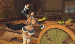 big_ass big_breasts breasts cat_ears cat_tail catgirl female final_fantasy_xiv gpose(ffxiv) maid maid_outfit miqo'te