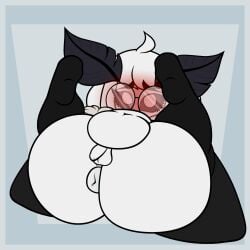 animated antennae_(anatomy) anthro anus aroused arthropod ass belly blush clothing embarrassed eyewear feet femboy genitals glasses hi_res highs hyper insects legwear lepidopteran lying male moth overhang penis presenting puffy short slightly_chubby solo spreading stack submissive teapot willowmoff wings